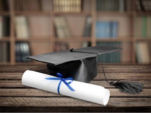 Differentiation - Biblical Higher Education