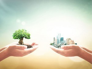 Apocalyptic Environmentalism