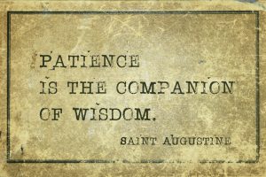 patience is the companion of wisdom